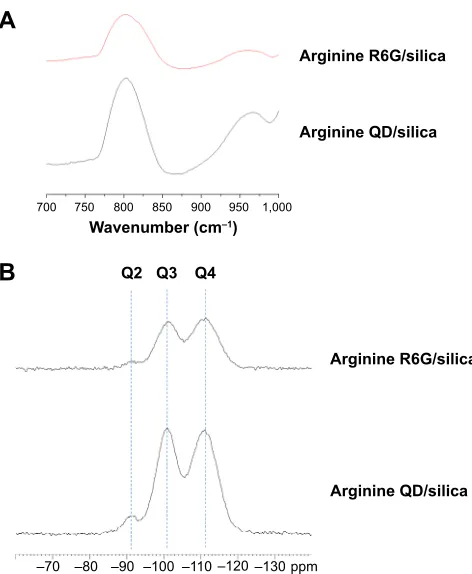 Figure S3 Infrared and 29si nuclear magnetic resonance spectroscopy of arginine driven r6g and QD/silica.Notes: (A) Diffuse reflectance infrared Fourier transform spectroscopy spectra of silica-coated quantum dots and Rhodamine 6G driven by arginine, focus