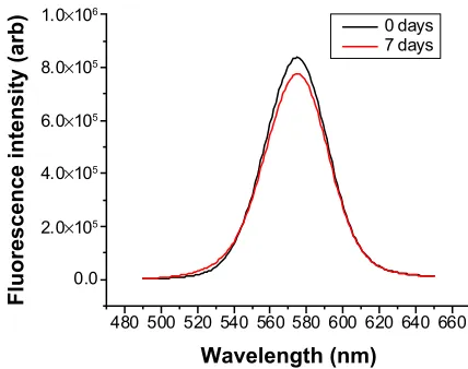 Figure 5 Fluorescence quenching of silica-coated quantum dots prepared by arginine silica synthesis after 0 and 7 days in phosphate-buffered saline.Notes: No quenching is observed