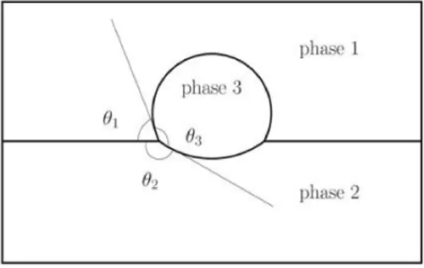 Fig. 4.1. Theoretical shape of the contact lens at the equilibrium between two stratified fluid components [6].