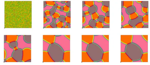 Fig. 4.5. The 2D dynamical evolution of the three phase variables c i , i = 1, 2, 3 for the partial spreading case, where the order parameters are (σ 12 ; σ 13 ; σ 23 ) = (1, 0.8, 1.4), the time step is δt = 0.001 and 128 2 grid points are used.