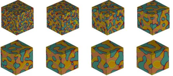 Fig. 4.9. The 3D dynamical evolution of the three phase variable c i , i = 1, 2, 3 for the partial spreading case, where the order parameters are (σ 12 ; σ 13 ; σ 23 ) = (1 : 0.8 : 1.4) and time step is δt = 0.001