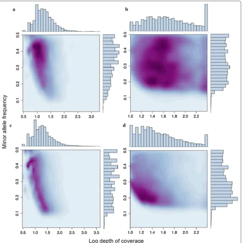 Fig. 3 Variation in SNP minor allele frequency (MAF) and depth of sequence coverage. The upper panels correspond to 4679 SNPs that were called from both the 454 and Illumina datasets, with panel a showing the 454 parameter space and b showing the correspon