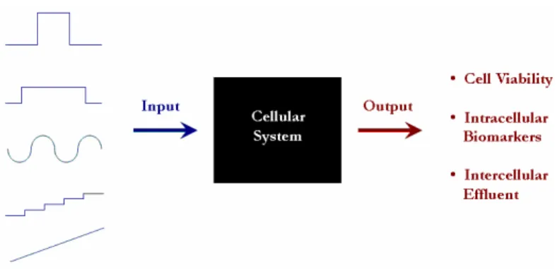 Figure 1. Cell as an input-output system