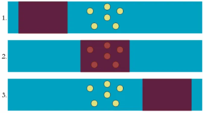Figure 2. Plug moving over cells from left to right