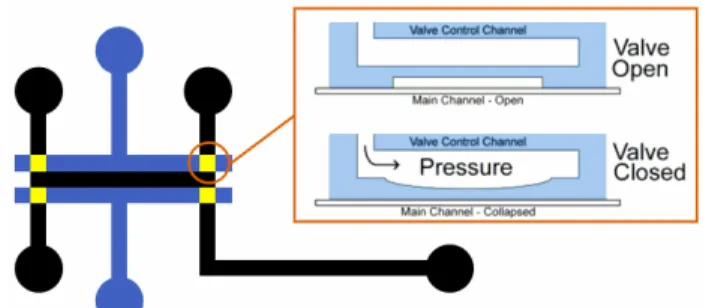 Figure 8. Initial 2-layer design with monolithic valves:  top-down view