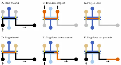 Figure 9. Diagram of loading reagent into main channel and flowing plug downstream 