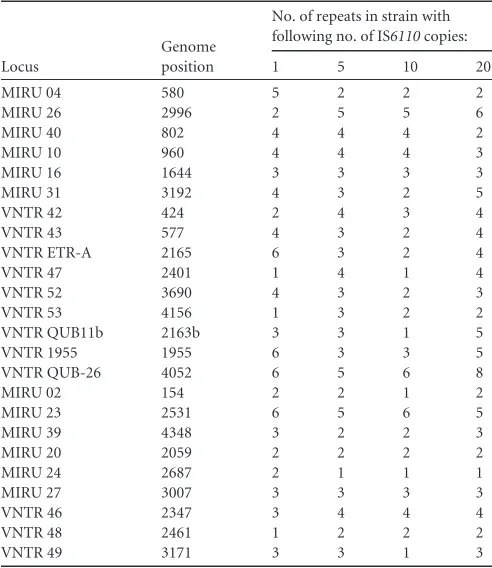 TABLE 2 VNTR patterns of the four strains used to test the analyticalsensitivity of the optimized in-house VNTR methoda