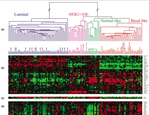 Figure 1Two-way hierarchical clustering of real-time quantitative reverse-transcription (qRT)-PCR dataTwo-way hierarchical clustering of real-time quantitative reverse-transcription (qRT)-PCR data