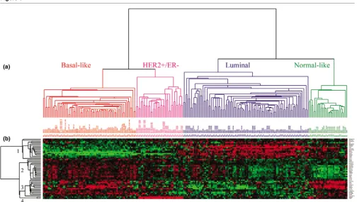 Figure 5Co-clustering of real-time quantitative reverse-transcription (qRT)-PCR and microarray data using 50 genes and 252 samples