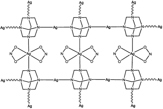 Figure 1.6 A representation of the polymeric structure of 