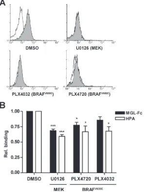 Figure 4: Inhibition of the MAPK pathway reduces MGL ligand binding. HT29 cells were either mock- (DMSO) treated or treated with the MEK inhibitor (U0126) or the BRAFV600E inhibitors PLX4032 (Vemurafenib) or PLX4720 (25 μM each)