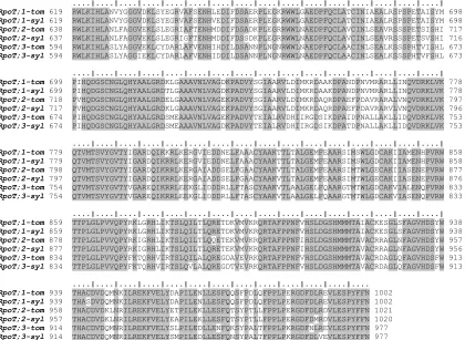 Figure 4. Protein alignment of six RpoT gene products. Amino acid sequence from each of the RpoT numbers are given at the left and right of the alignment