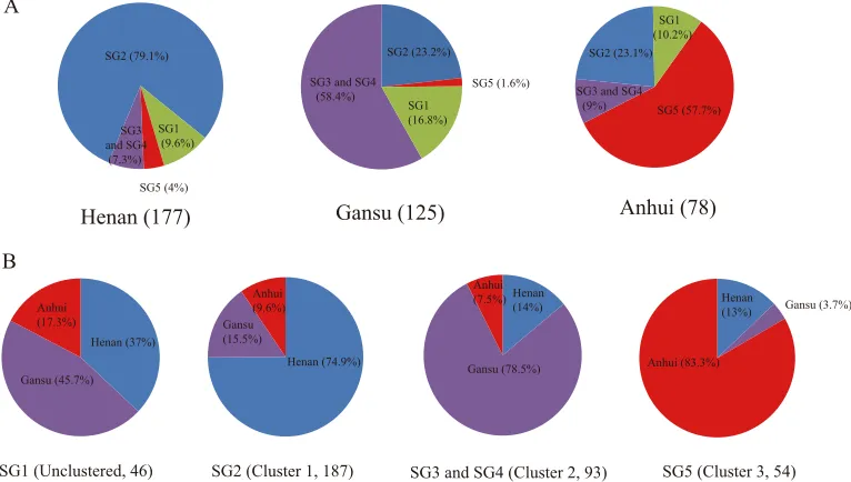 FIG 2 Frequency and geographic distribution of the SNP genotypes of the 380the 5 SGs in different provinces, shown in pie charts