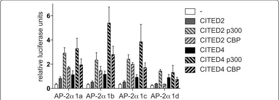 Figure 3 AP-2transfected with 0.05indicated. Relative firefly luciferase activity normalised to renilla luciferase activity is shown