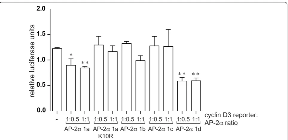 Figure 4 AP-2as relative firefly luciferase activity normalised to renilla luciferase activity