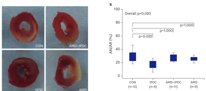Figure 2. (A) Representative sequential LV slices from each group showing the AN (pale area) with TTC staining