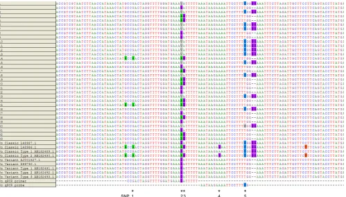 TABLE 4 P. malariae and P. ovale duplex qPCR primer/probe sequencesand ﬁnal concentrationsa