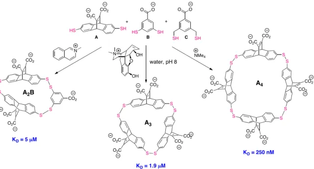 Figure 2.10.  Selective amplification and binding of three different hosts with three  different quaternary ammonium guests