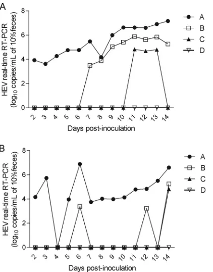 FIG 1 Comparison of four real-time RT-PCR assays (A, B, C, and D) indetecting and quantifying HEV RNA on fecal samples after experimental in-oculation of pigs with HEV genotype 3 strain US-2 (A) or Meng (B).