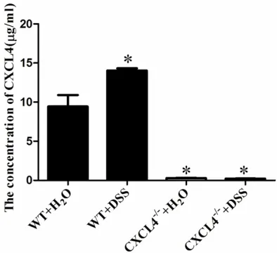Figure 1. Detecting the concentration of CXCL4 in the mice. The concentrations of CXCL4 were detected by ELISA