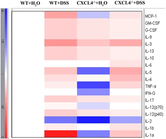 Figure 5. p-JNK expression levels in the WT and CXCL4-/- mice challenged with H2O and DSS
