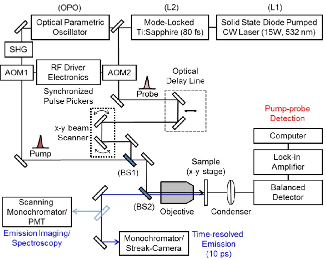 Figure 1: Schematic of the spatially-separated pump probe microscope. 