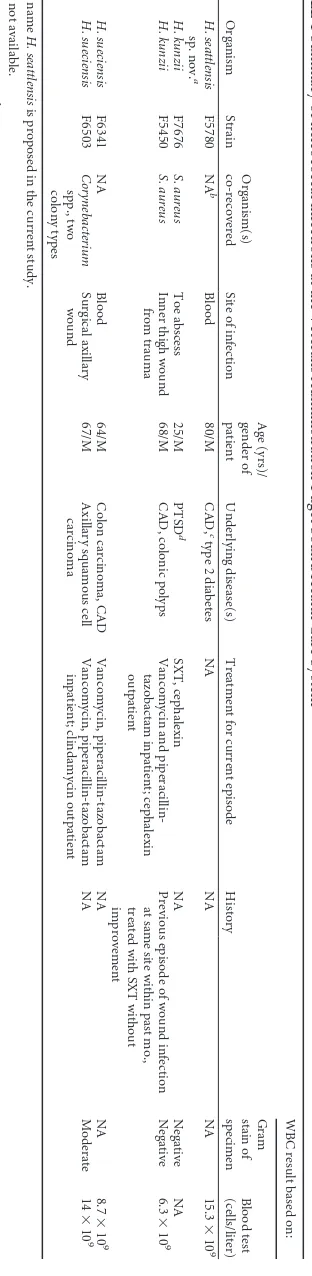 TABLE 1 Summary of helcococcal infections at the Veterans Administration Puget Sound Health Care System