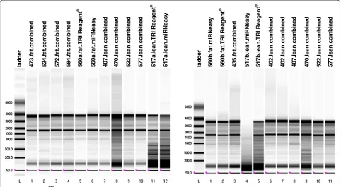 Figure 3 Comparison of the 3 used methods for ratio 260/280,ratio 260/230 and RQI. SEM is depicted by error bars.
