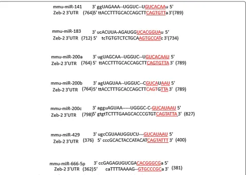 Figure 5 Sequence alignment of microRNAs. Their seed sequences are underlined.