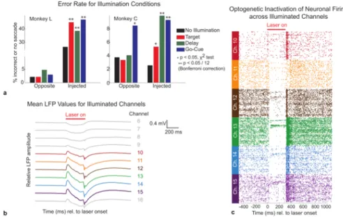 Figure 4. Behavioral and Electrophysiological Effects of Optogenetic Inhibition with Large Volume Illumination 