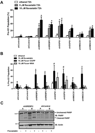 Figure 3: shRNAs targeting MVA pathway gene hits potentiate fluvastatin-induced apoptosis