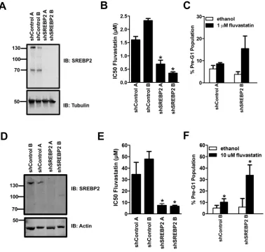 Figure 4: Stable knockdown of SREBP2 sensitizes breast cancer MDA-MB-231 and MCF7 cells to the pro-apoptotic and anti-proliferative effects of fluvastatin