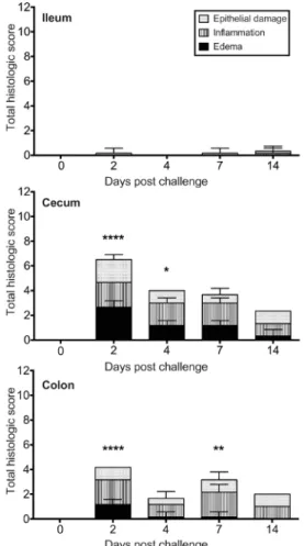 Figure 4: Histopathology During Infection with C. difficile R20291. This panel contains representative H&amp;E sections of ileum, cecum, and colon throughout infection with C