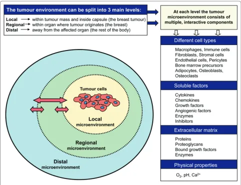 Figure 1. The main components of the tumour microenvironment.