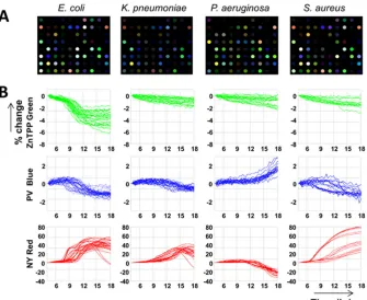 FIG 3 Heat map of average CSA sensor patterns for 18 species of bacteria and an uninoculated blood sample