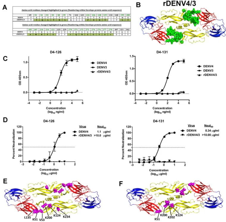 FIG 4 The EDI/II hinge region is important for the binding and neutralization of DENV4 by hMAbs D4-126 and D4-131
