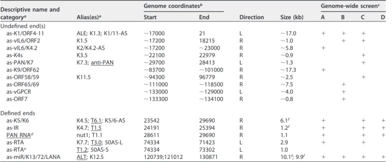 TABLE 1 Potential lncRNAs in KSHV Descriptive name and
