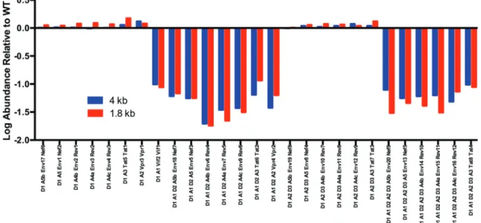 FIG 4 Effects of SLSA1 structural mutations on splicing. The y axis is a log scale of the fold change of splice type abundance of SLSA1 mutant relative to WT NL4-3; the x axis shows the pattern of splice donors and acceptors and the transcript type in the 