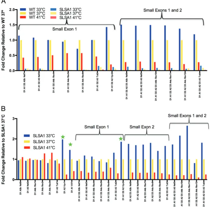 FIG 5 Combined effects of temperature and SLSA1 mutation. (A) The histogram shows the ratio of the percentage of each 1.8-kb transcript that utilizes A1 relative to the 37°C WT sample