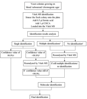 TABLE 2 Results of the misidentiﬁed isolates reanalyzed by the VitekMS v2.0 system
