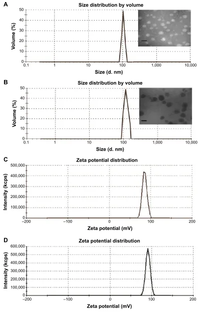 Figure 4 size and zeta potential distribution of FaPlcs and FaPlcs/sPIONs.Notes: The mean diameter of FaPlcs was 121.70±3.70 nm; the insert shows TeM images of FaPlcs micelles (A)