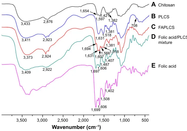 Figure 2 Fouriter transform infrared spectra of various agents.Notes: Fourier transform infrared spectra of chitosan (A); Plcs (B); FaPlcs (C); folic acid/Plcs mixtures (5% w/w) (D); and folic acid (E).Abbreviations: Plcs, N-palmitoyl chitosan; FaPlcs, folate-conjugated N-palmitoyl chitosan; w/w, weight/weight.