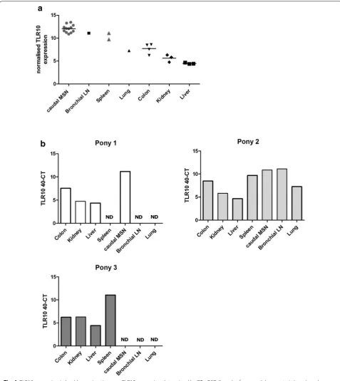 Fig. 4 TLR10 expression in healthy equine tissues. (MSN, n slaughter/euthanasia and preserved in RNALater prior to RNA isolation, cDNA synthesis and RT-qPCR