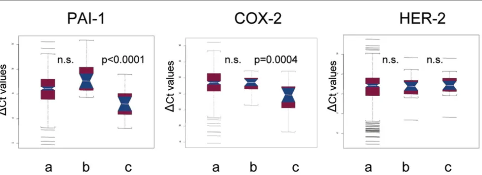 Figure 4Notch box plots of the expression levels of plasminogen activator inhibitor (PAI)-1, cyclooxygenase (COX)-2 and HER-2 as detectedpendent surgical specimens of primary breast cancer patients who did not undergo previous diagnosis by core biopsy, Notch box plots of the expression levels of plasminogen activator inhibitor (PAI)-1, cyclooxygenase (COX)-2 and HER-2 as detected (a) in 317 inde-(b) in the core biopsy of the 