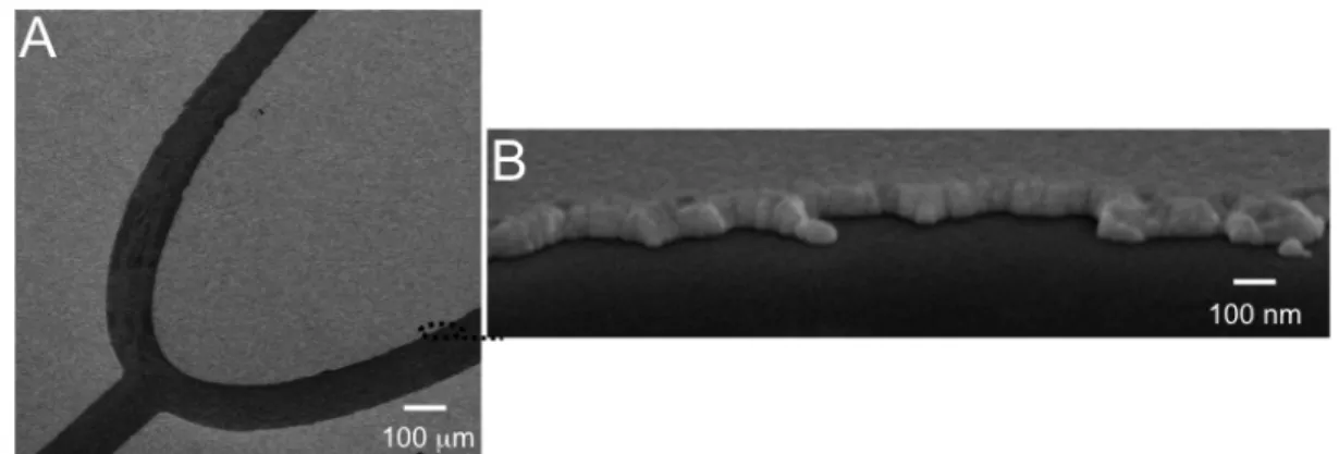 Figure	   3.2.	   Etched	   gold	   surfaces	   imaged	   by	   scanning	   electron	   microscopy	   (SEM).	   (A)	   A	   	   microfluidc	  patterned	  etch	  of	  a	  gold	  surface.	  (B)	  A	  high-­‐resolution	  image	  of	 