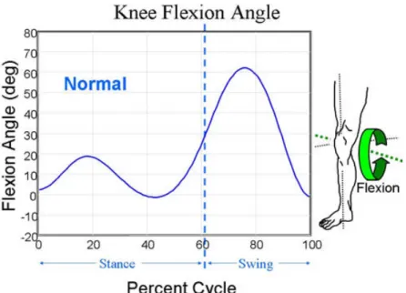 Figure 3:  Knee Flexion Angle  