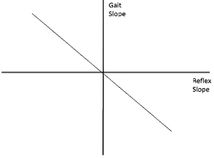 Figure 7:  Relationship Between Gait Extensor Excitability &amp; Isolated Refl Extensor Excitability (Hypothesized)