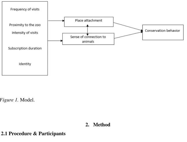 Figure 1. Model. 