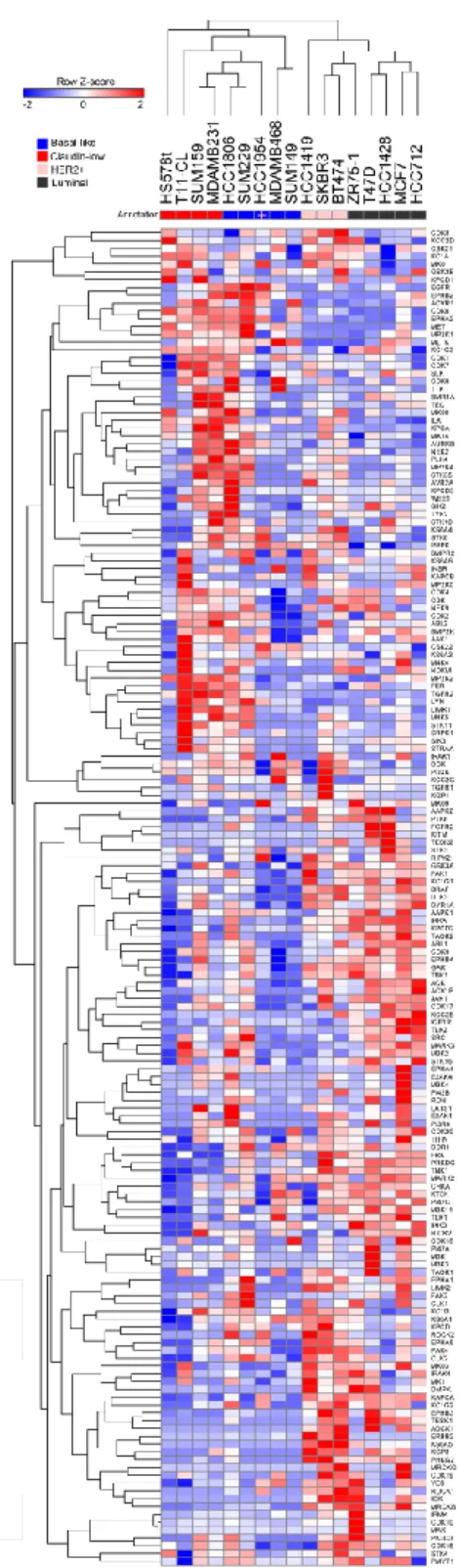 Figure 2.  Heat map of the normalized MIB/MS data used for regression.  Columns are an average of 2 or  3 samples of each different breast cancer cell line