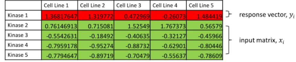 Figure 3 (A-C).  Flowchart of methods for lasso regression and annotations.  (A) Example of normalized  MIB/MS data for five kinase readings from five cell line samples